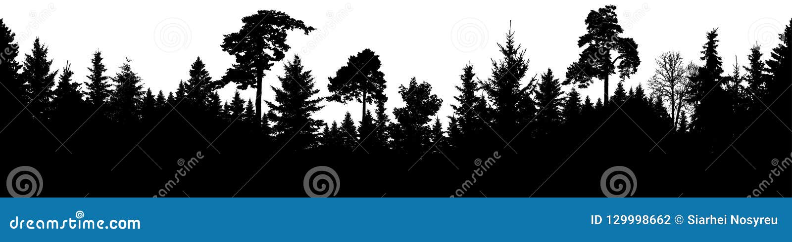 forest silhouette . scotch fir, christmas tree, spruce, fir, pine. seamless panorama